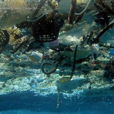 VIDEO: Great Lakes threatened by plastic pollution