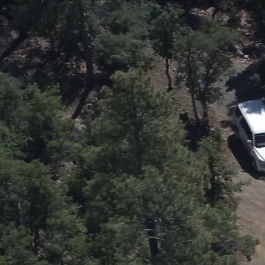 The incident marks Arizona's second deadly bear attack in the state in recent decades.