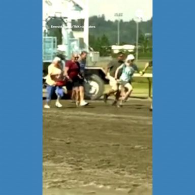 VIDEO: Grandparents sprint on horse racetrack