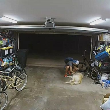 VIDEO: Man befriends dog before stealing bike from garage