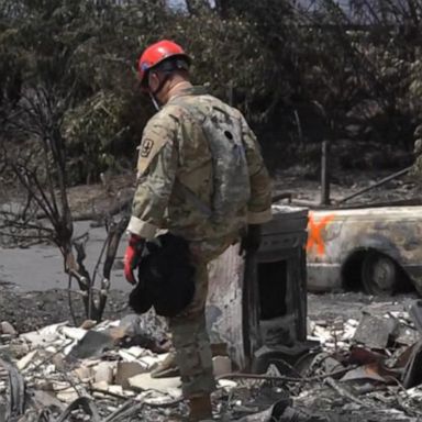 VIDEO: 96 people killed, hundreds missing in Hawaii wildfires