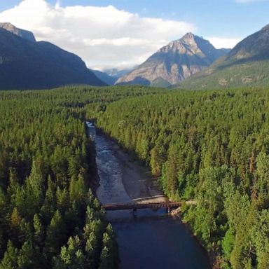 Young people from Montana have won a major climate case, arguing the state failed to protect their right to a clean environment by continuing to use fossil fuels.