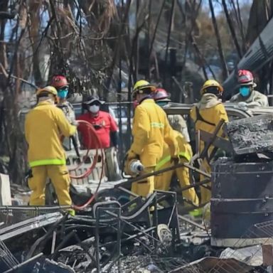 VIDEO: ABC News Live: Death toll rises as Maui community comes together 