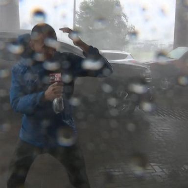 VIDEO: ABC News WFTS reporter caught the middle of Hurricane Idalia