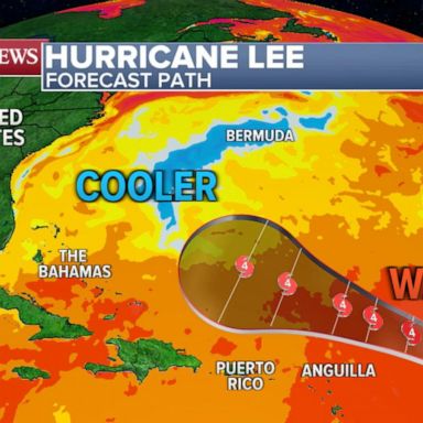 VIDEO: New hurricane forms in the Atlantic