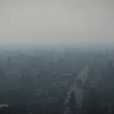 A smoky haze is currently blanketing the San Francisco Bay Area due to wildfires burning to the northwest, creating unhealthy air quality for sensitive groups.