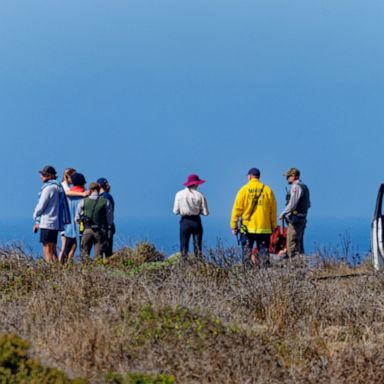 The Coast Guard received a report Sunday morning of a man who went missing at Wildcat Beach in Marin County.