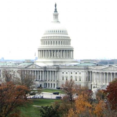 VIDEO: Police arrest man with gun near US Capitol building