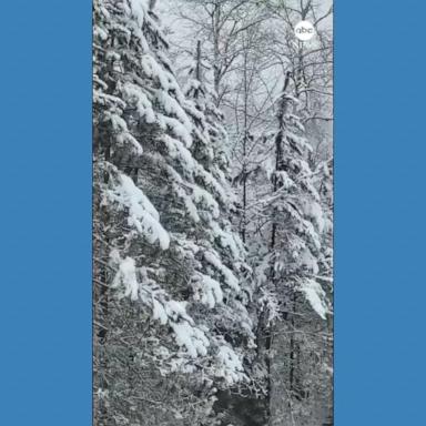 VIDEO: It's beginning to look a lot like...winter! 