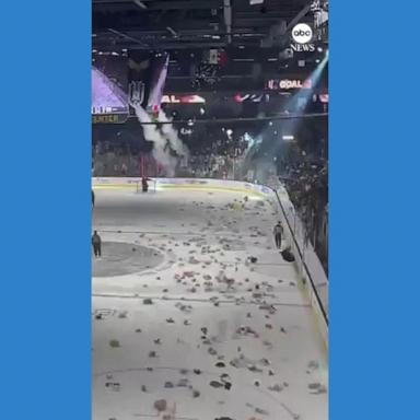 VIDEO: Hockey fans toss thousands of stuffed animals for charity