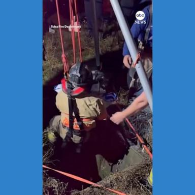 VIDEO: Firefighters rescue dog that fell into storm drain