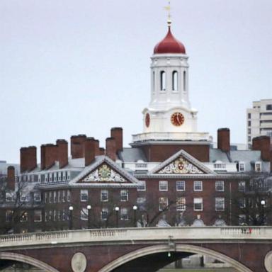 VIDEO: Billionaire alum calls for resignation of Harvard University board members