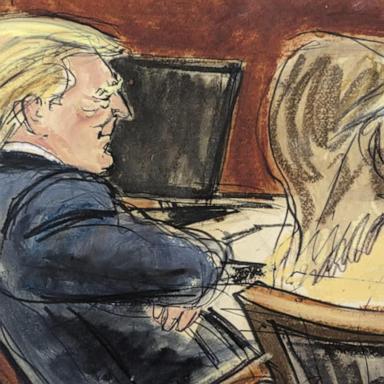 VIDEO: Court adjourned in Trump defamation trial due to sick juror