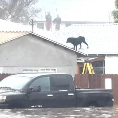 VIDEO: Snow and flood warning for West Coast