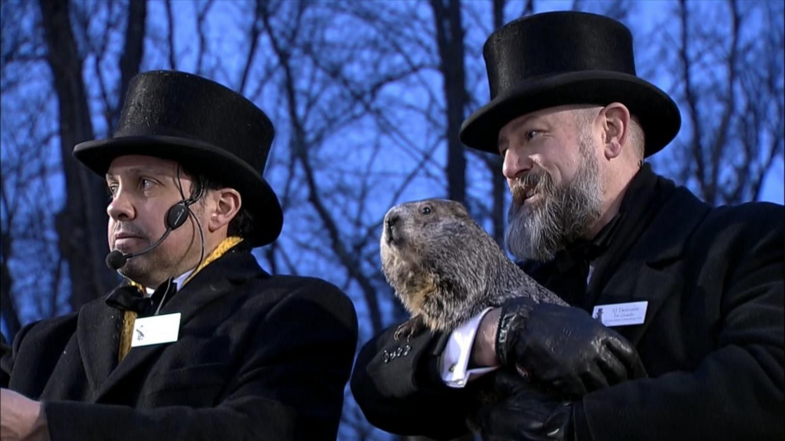 Punxsutawney Phil makes Groundhog Day prediction - Good Morning America