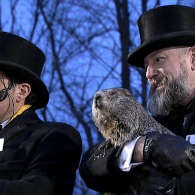 Legend has it that if he sees his shadow then winter will continue for another six weeks but if Punxsutawney Phil does not see his shadow spring will come early.