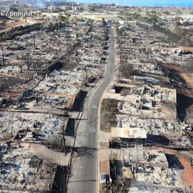 VIDEO: 6 months after deadly wildfires, Maui Police Department releases review of response