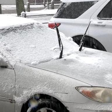 VIDEO: Storm brings over a foot of snow to parts of the East Coast