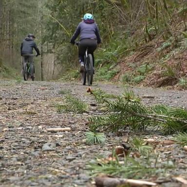 A cyclist used their mountain bike to restrain the animal, according to Sgt. Carlo Pace with the Washington State Fish and Wildlife Police.