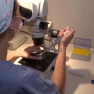 A bill to allow IVF treatments to resume in Alabama has been signed into law by the governor weeks after a high court ruled that embryos are children.