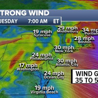 VIDEO: High wind warning in the Northeast 