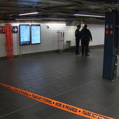 Christian Valdez was arrested following the Saturday morning domestic violence attack at the Fulton Street subway station in lower Manhattan, according to the New York Police Department.