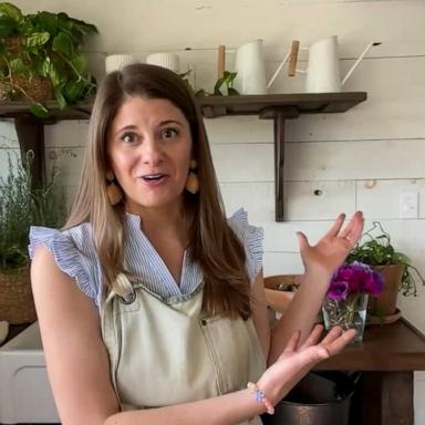 TikTok influencer Katy King discusses the app's importance for her business, Hidden Springs Flower Farm.