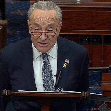 VIDEO: Sen. Schumer calls for new elections in Israel 