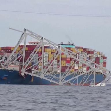VIDEO: Former coast guard lieutenant on the Baltimore bridge collapse