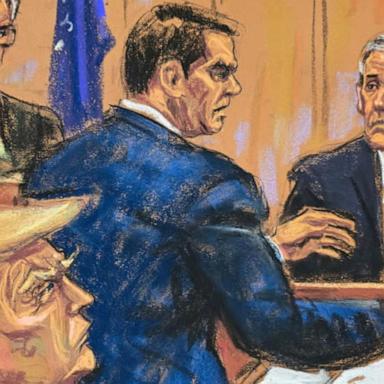 VIDEO: Prosecution rests it's case as Defense calls on second witness in Trump hush money trial