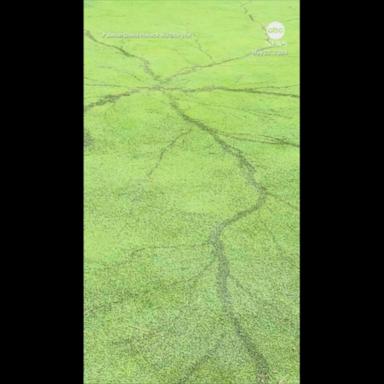 VIDEO: ‘Crazy’ lightning pattern found on Ohio golf course after thunderstorm