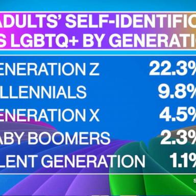 VIDEO: LGBTQ+ community by the numbers