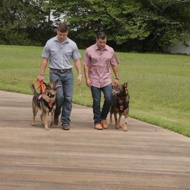 Two best friends adopt their other best friends during a heartwarming reunion.