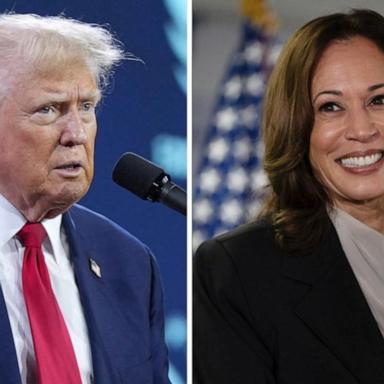 VIDEO: Current and former world leaders connect with Harris and Trump