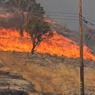 VIDEO: Wildfires burn out of control in the West