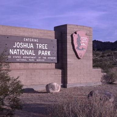 Several road signs, bathrooms and dumpsters in Joshua Tree were affected after the paintball shooting spree.