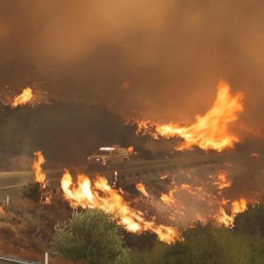 VIDEO: California wildfires burning out of control 