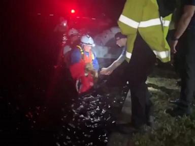 WATCH:  Residents and dog rescued from Hurricane Helene floodwaters