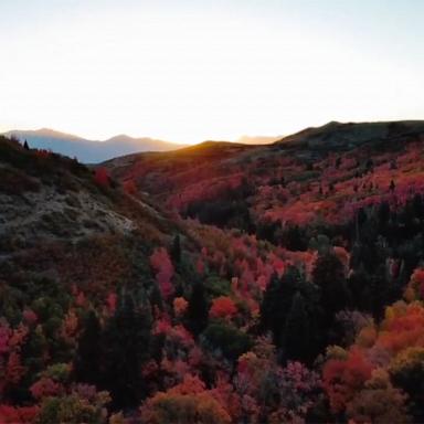 VIDEO: Mesmerizing drone footage shows autumnal colors spreading across Northern Utah