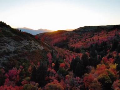 WATCH:  Mesmerizing drone footage shows autumnal colors spreading across Northern Utah