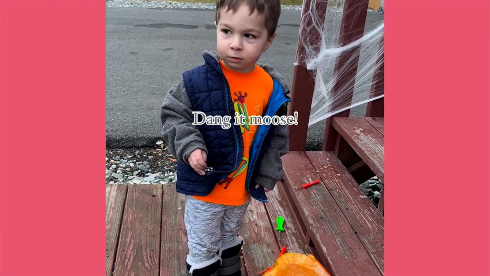 VIDEO: ‘Dang it, moose': Young boy in Alaska is adorably angry after moose eats his pumpkin