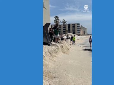 WATCH:  Alligator captured on Florida beach