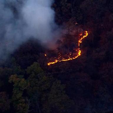 VIDEO: Massive brush fire erupts in NYC park