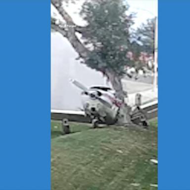 Small plane makes crash landing into tree in Southern California