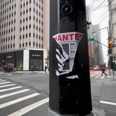 Online posts have listed the names and salaries of health insurance executives and "Wanted" signs have been posted in Manhattan, according to the bulletin.