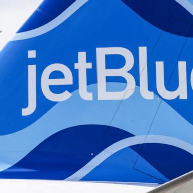 VIDEO: 2 found dead in JetBlue landing gear compartment after flight, airline says