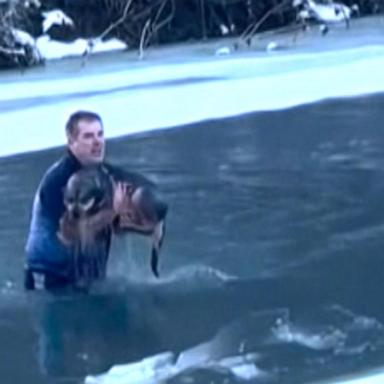 Chris MacRitchie plunged himself into a frozen river in Vermont after realizing a dog had fallen through the ice.