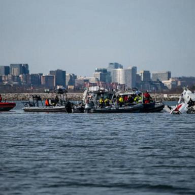 VIDEO: Retired US Navy pilot reacts to DC plane crash