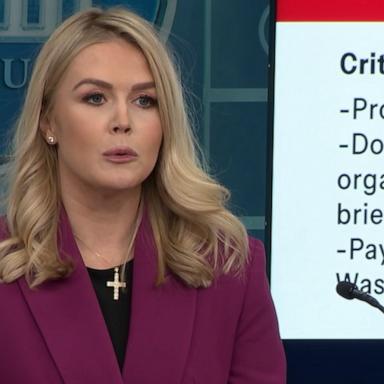 Karoline Leavitt said the mystery drones flown across New Jersey were "authorized to be flown by the FAA" in the first press briefing of the Trump administration.