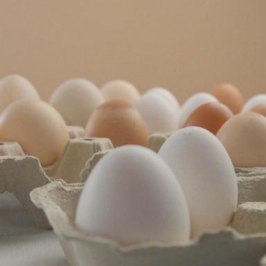 Police in Pennsylvania are trying to crack the case after 100,000 organic eggs worth upwards of $40,000 were stolen from the back of a trailer over the weekend.